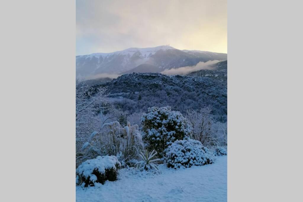 Les Villas Dorées - Villa Soleil face au Mont Ventoux Plaisians Esterno foto